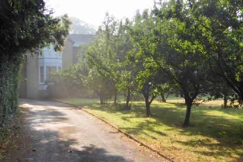 Coming Home Healing Retreat Report (image 3)