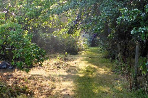 Coming Home Healing Retreat Report (image 5)