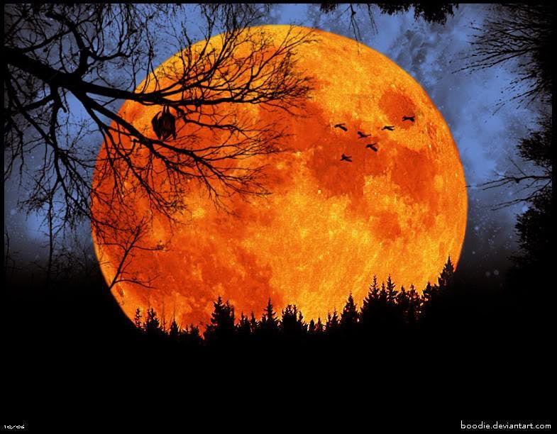 Equinox Full Moon Queer Spirit Celebration (image 1)
