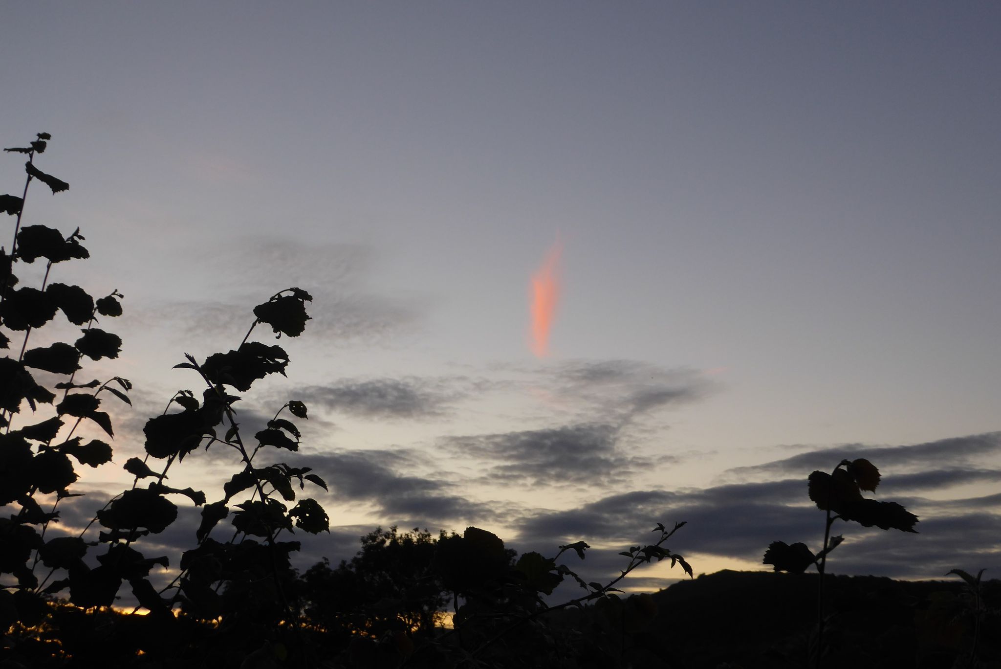 Faerie dreaming (image 1)